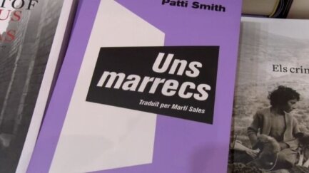 Descobreix les recomanacions literàries de la llibreria La Històrica