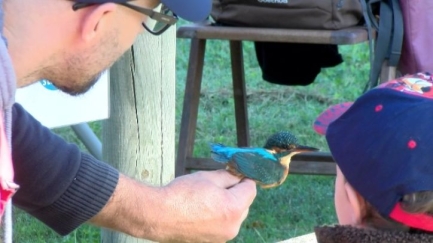 El Parc dels Estanys celebra la 12a edició del Dia dels Ocells