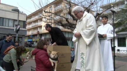 Els animals, protagonistes de la festa de Sant Antoni Abat a Palamós