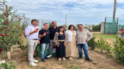 Poma de Girona espera que se superin les 100.000 tones de pomes