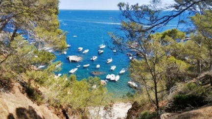 SOS Costa Brava demana més vigilància al litoral gironí